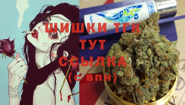 шишки Армянск