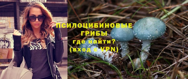 шишки Армянск