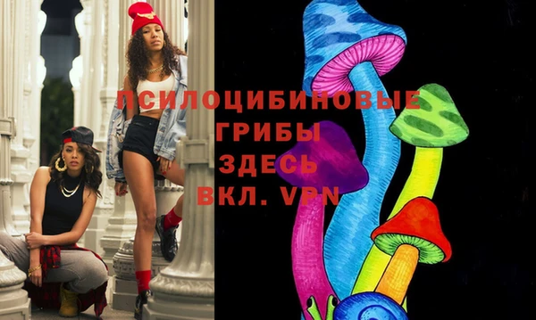 метадон Арсеньев