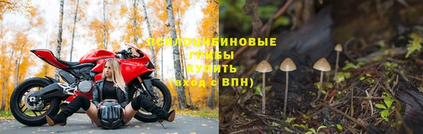 a pvp Аркадак