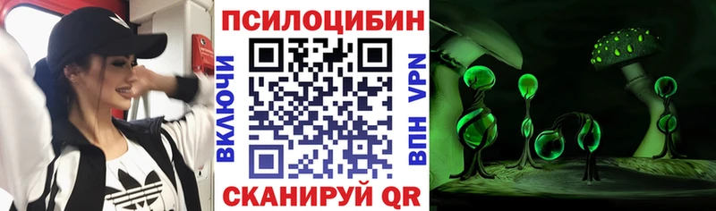 Купить закладки  Южно-Сахалинск  Галлюциногенные грибы прущие грибы 